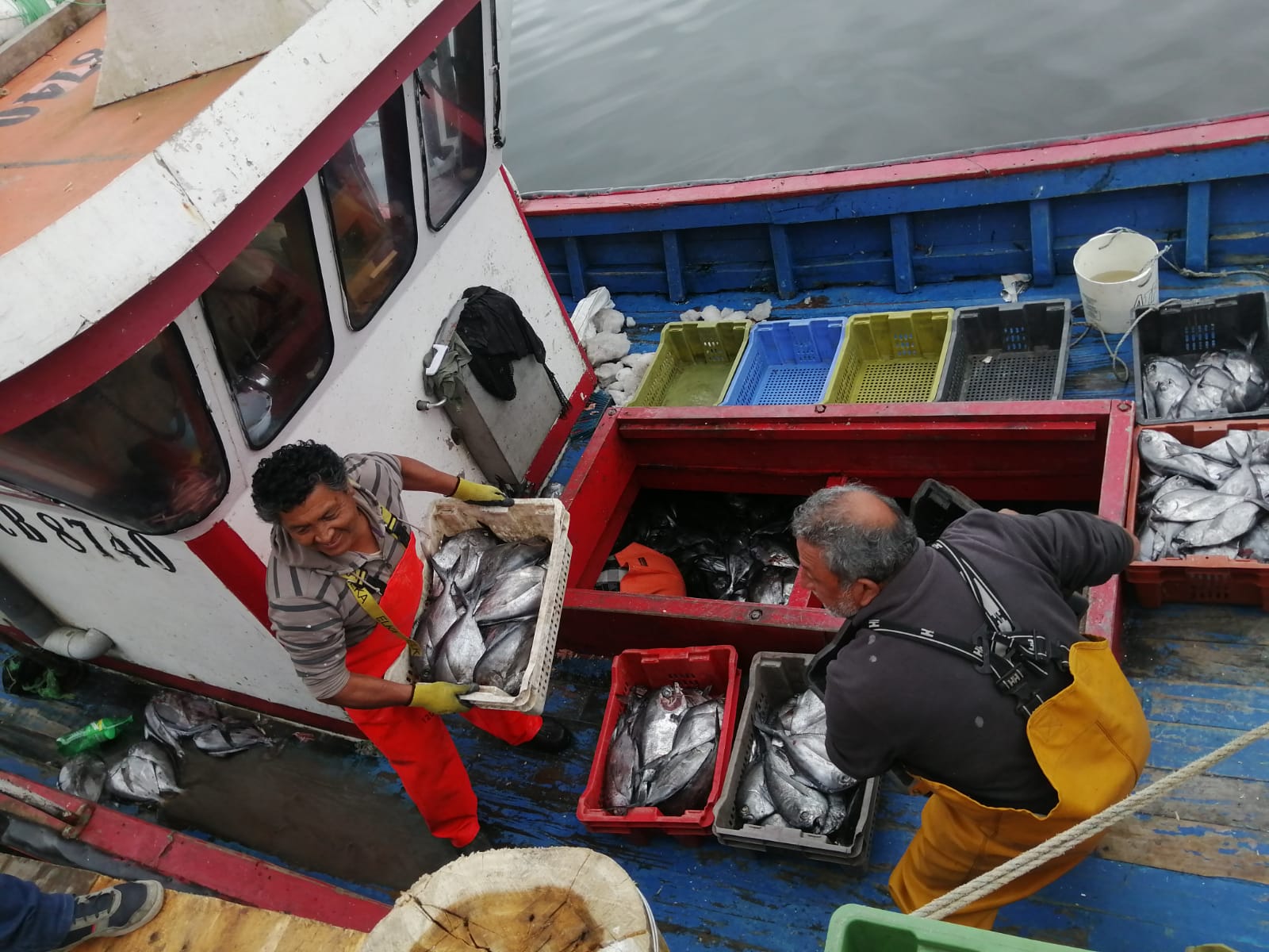 Pescadores de Queule